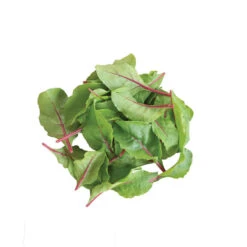 Charbell -Verdant Bloom Store 04551 02 charbell