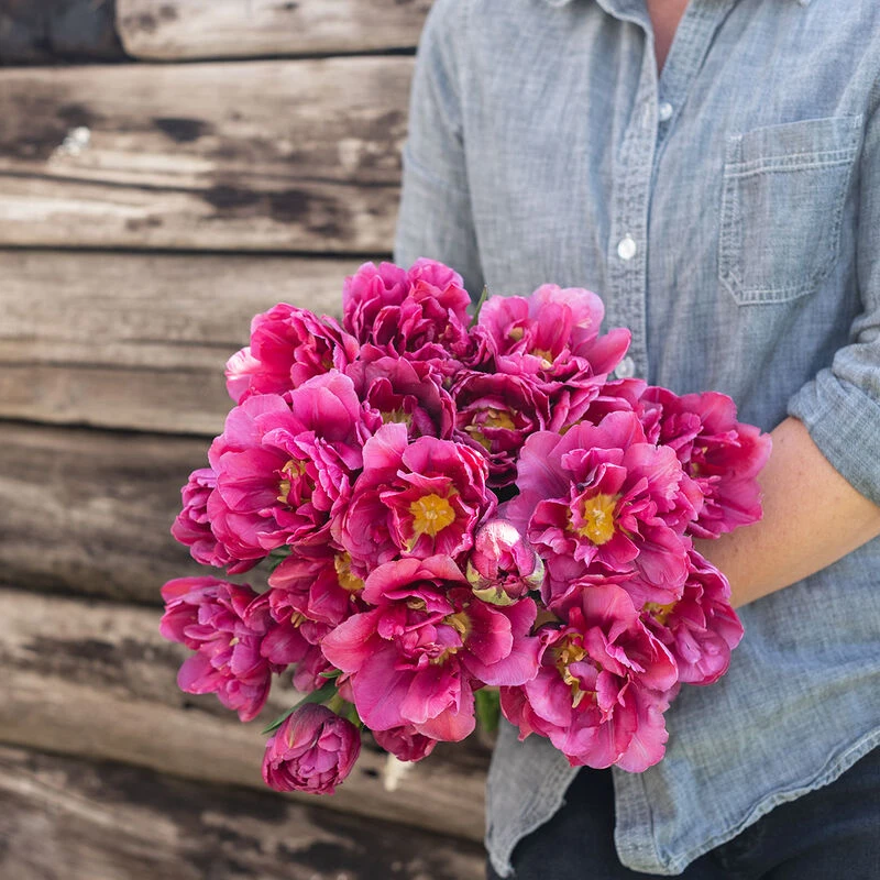 Margarita 4 Margarita - Image 2