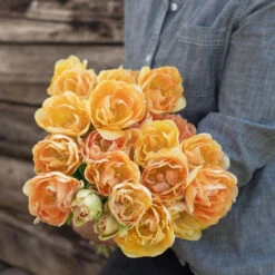 Charming Beauty -Verdant Bloom Store 04561 03 charming beauty