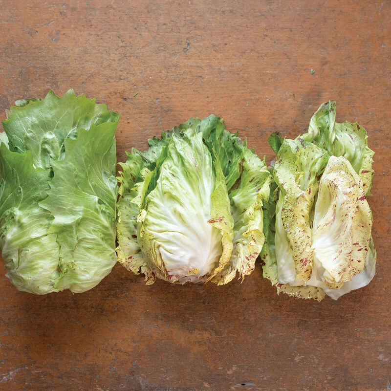 Giorgione 3 Giorgione