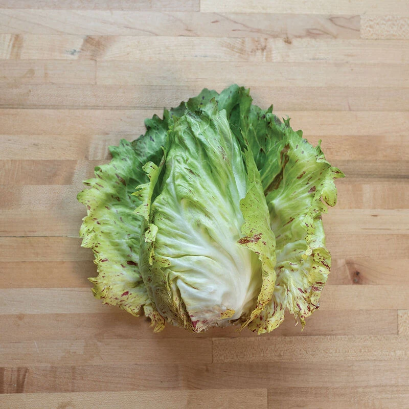 Giorgione 4 Giorgione - Image 2