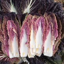 Miss Hong -Verdant Bloom Store 04716 02 misshong