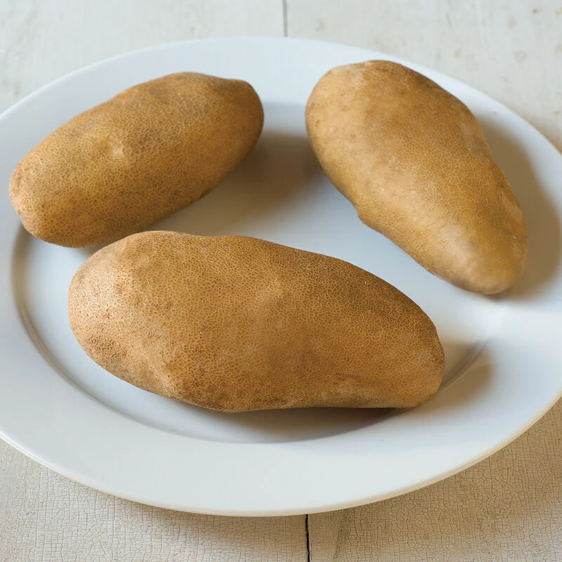 Caribou Russet 4 Caribou Russet - Image 2