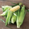 Inspiration -Verdant Bloom Store 04766r 01 inspiration corn