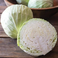 Botran -Verdant Bloom Store 04819 02 botran cabbage