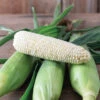 Eden RMN -Verdant Bloom Store 05090 01 eden sweet corn