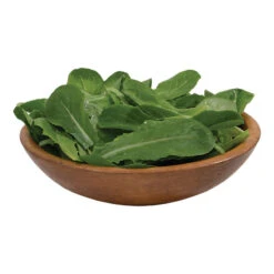 Reyes 5 Reyes -Verdant Bloom Store 05152g 02 reyes babyleaf lettuce