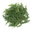 Nemesis -Verdant Bloom Store 05543 01 nemesis babyleaf arugula