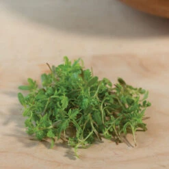 Marigold, Gem -Verdant Bloom Store 06023m 04 gem marigold