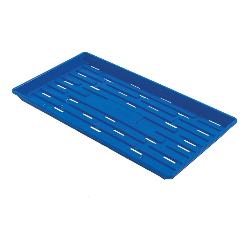 Polypro Shallow Tray (With Holes), Blue – 24 Count 3 Polypro Shallow Tray (With Holes), Blue – 24 Count