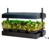 SunBlaster Growlight Garden -Verdant Bloom Store 06743 01 growlight garden