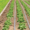 Johnny's Drip Irrigation Kit – 2,000' -Verdant Bloom Store 06982 01 drip kit