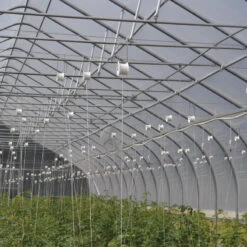 Rollerhook® – 25 Count -Verdant Bloom Store 07047 02 rollerhookgreenhouse