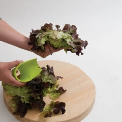 Salanova® Cutter -Verdant Bloom Store 07136 05 salanovacutter