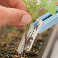 Miter-Cut Grafting Knife -Verdant Bloom Store 07172 04 mitercutgrft knife