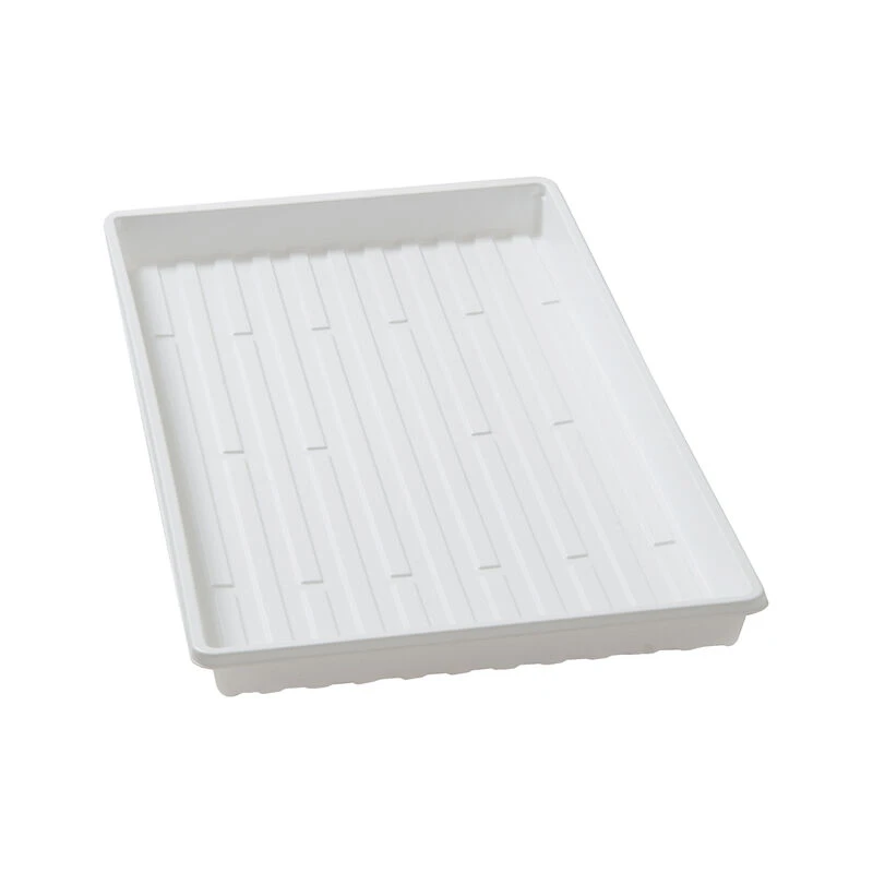 Lightweight Shallow Trays – 36 Count 3 Lightweight Shallow Trays – 36 Count