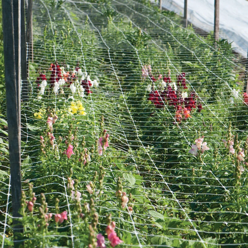 Hortonova FA – 36" X 328' 3 Hortonova FA – 36" X 328'