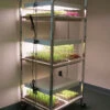 Compact Seedling Light Cart – 6 Trays, 120 Watts -Verdant Bloom Store 07296 01 compactsdlng light cart 1