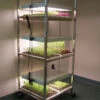 Compact Seedling Light Cart – 6 Trays, 240 Watts -Verdant Bloom Store 07296 01 compactsdlng light cart