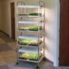 Compact Seedling Light Cart – 8 Trays, 160 Watts 2 Compact Seedling Light Cart – 8 Trays, 160 Watts -Verdant Bloom Store 07299 01 compactseedlinglightcart