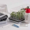 Top-Grafting Starter Kit 2 Top-Grafting Starter Kit -Verdant Bloom Store 07312 01 graftingstarterkit