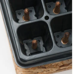 50 Cell Plug Popper -Verdant Bloom Store 07342 03 plugpopper50