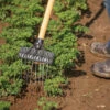 Tine Weeding Rake – 6" -Verdant Bloom Store 07410 01 tineweedingrake6inwide