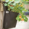 Wall Flower Hanging Planter – Single Bag -Verdant Bloom Store 07529 01 wallflower planter