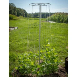 Bean Tower – 60" -Verdant Bloom Store 07540 04 beantower