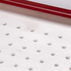 Seed Plate A264 -Verdant Bloom Store 07657 03 a264