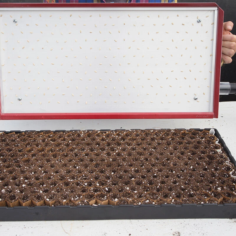 Seed Plate E264 3 Seed Plate E264