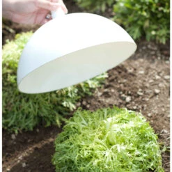 Blanching Cap -Verdant Bloom Store 07698 01 blanching cap