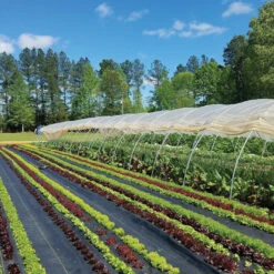 Sunbelt Black Ground Cover – 3' X 300'