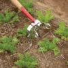 Spring Hoe – 3.5" -Verdant Bloom Store 07923 01 springhoe
