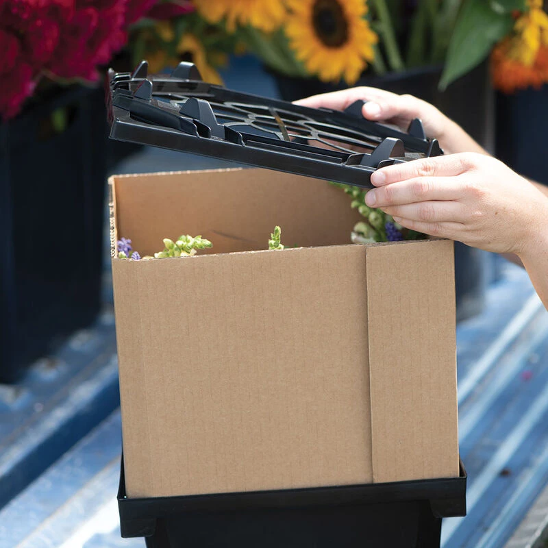 Florida Lid 6 Florida Lid - Image 4