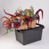 Valencia Container – 25 Cm -Verdant Bloom Store 07929 01 valencia25container