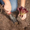Trowel – Transplant -Verdant Bloom Store 09125 02 102trowel