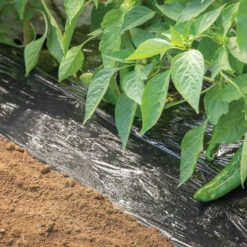 Bio360 Mulch – 4' X 500'