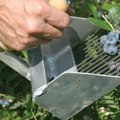 Highbush Blueberry Rake