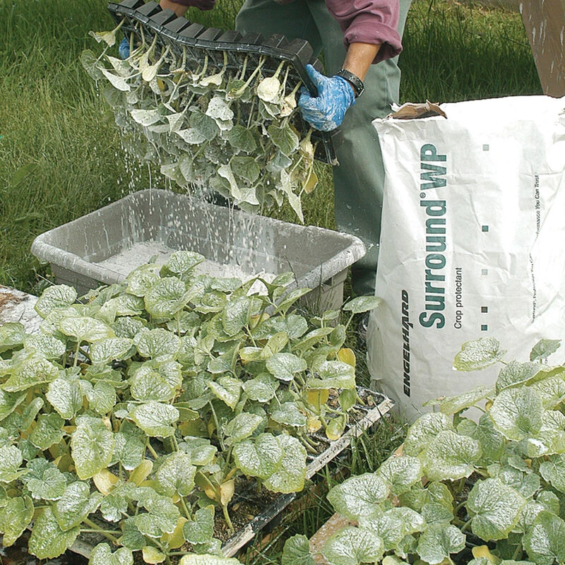 Surround® WP – 25 Lb. 3 Surround® WP – 25 Lb.