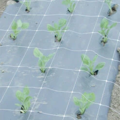 Hortonova FA – 48" X 328'