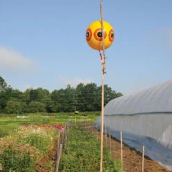 Terror-Eyes Balloons