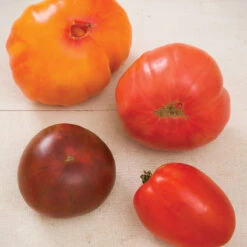 Heirloom Tomato Collection