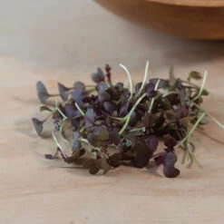 Mustard, Miz America -Verdant Bloom Store 3749m 03 mizamerica