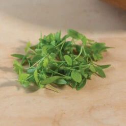 Parsley -Verdant Bloom Store 3770m 03 parsley