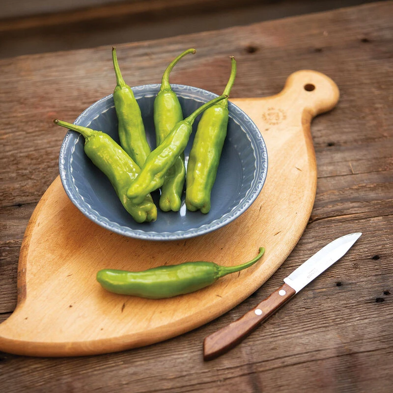 Shishimai 3 Shishimai